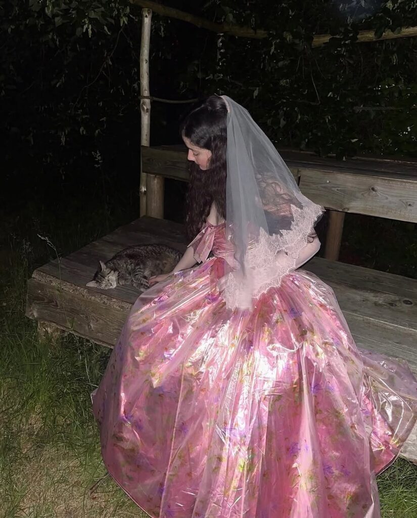 A woman in a pink gown and veil sits on a wooden bench, petting a gray tabby cat at night.